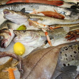 Аналитики дали рыбному рынку прогноз на десятилетие