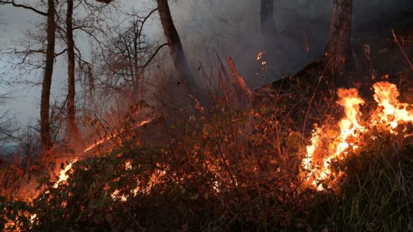 В Якутии мобилизуют спецтехнику для тушения природных пожаров