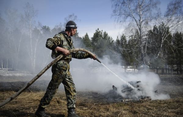 В России тушат лесные пожары на площади почти 60,5 тыс. га