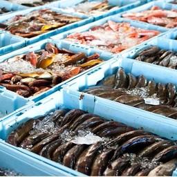 Ввоз рыбы в ЕС останется на особом контроле